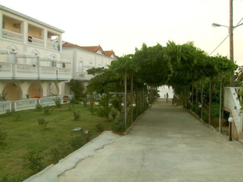 Hotelanlage mit Weinlaubengang zum Meer Hotel Belussi Beach