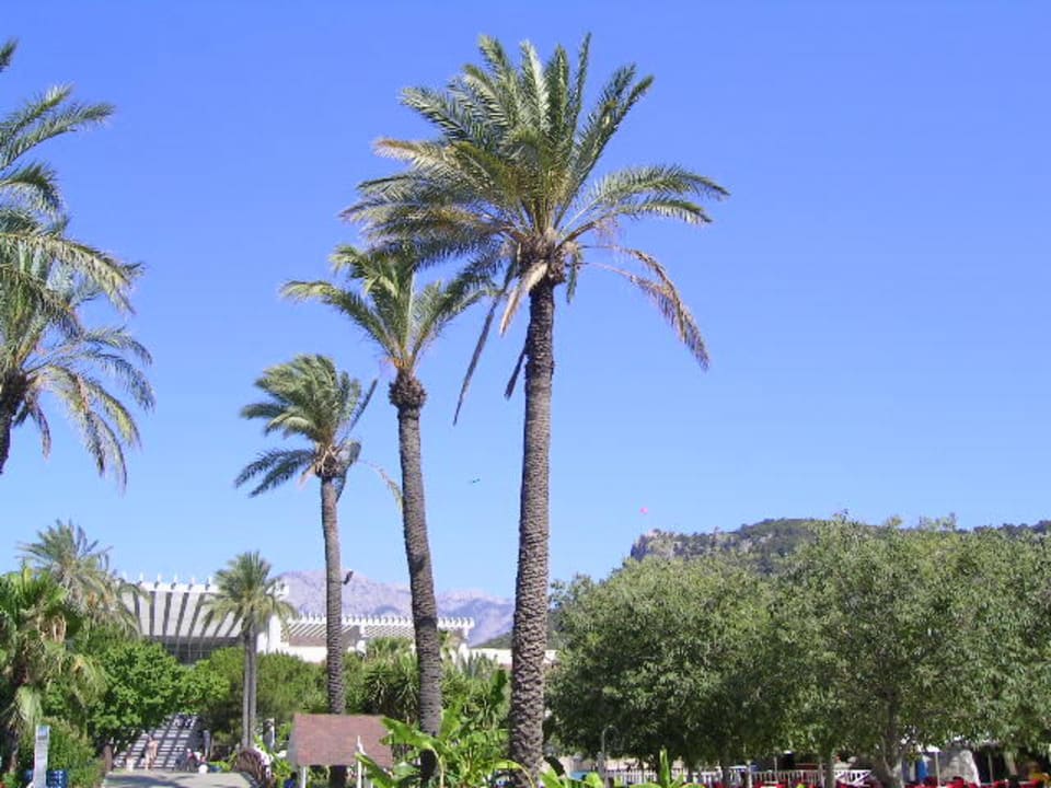 hotelanlage Dobedan World Palace Kemer