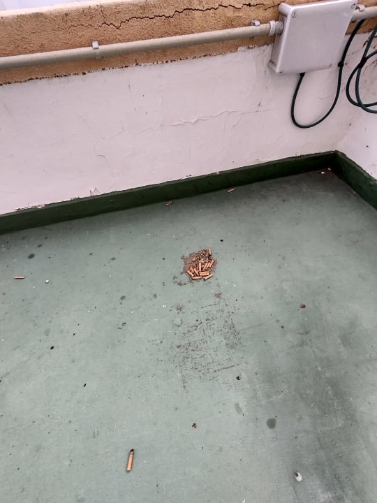 Zimmer allsun Hotel Lucana