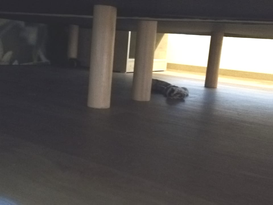 Zimmer Center Parcs Park Allgäu