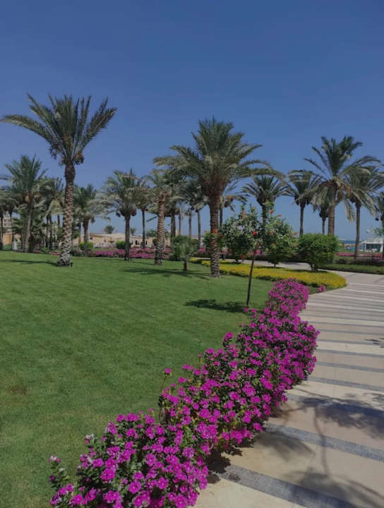 Gartenanlage Hilton Hurghada Plaza