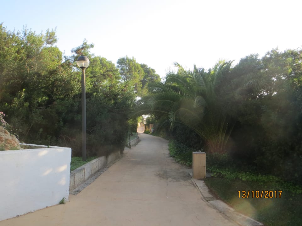 Gartenanlage Hotel Exagon Park