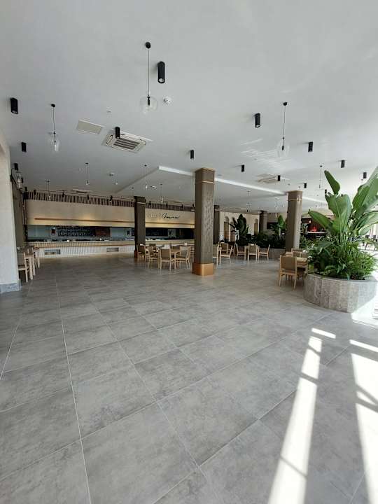 Gastro Seashell Vega