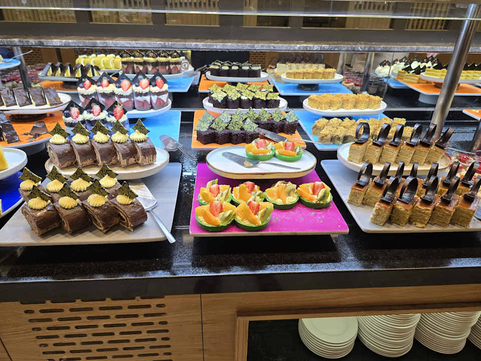 Gastro Seashell Vega