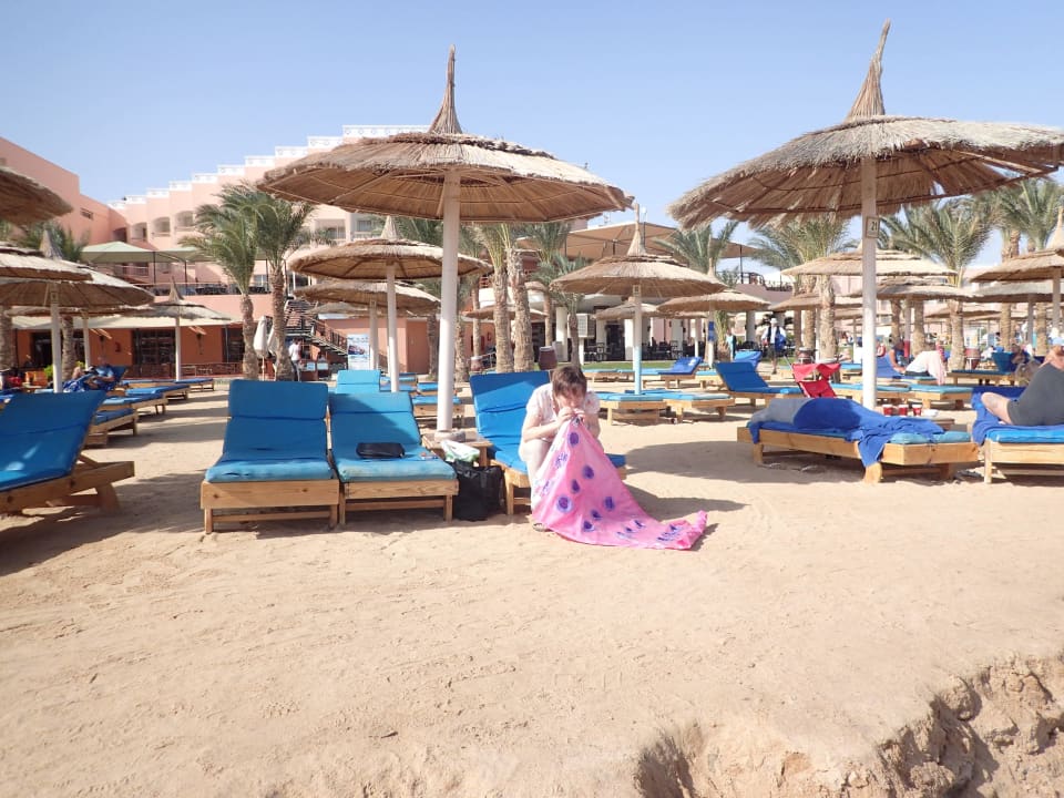 Alles sauber Beach Albatros Resort