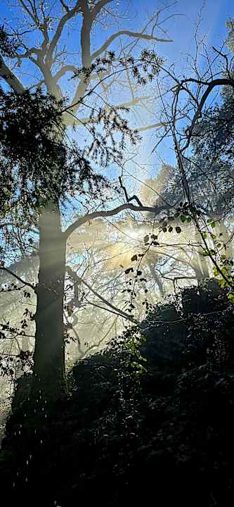 Sonstiges Hotel SPA Husseren Collections