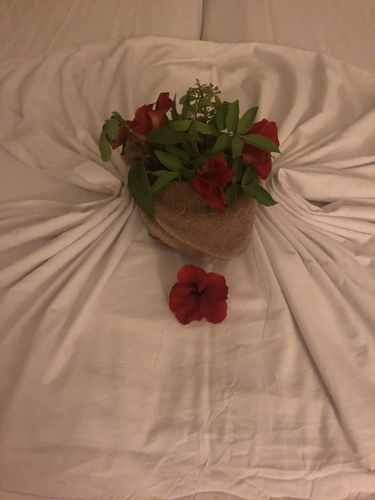 Zimmer Hotel El Mouradi Djerba Menzel