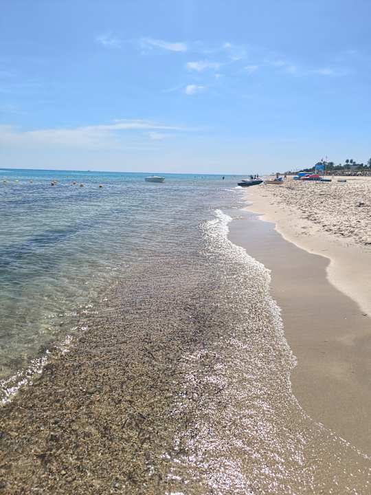 Strand Hotel Royal Nozha