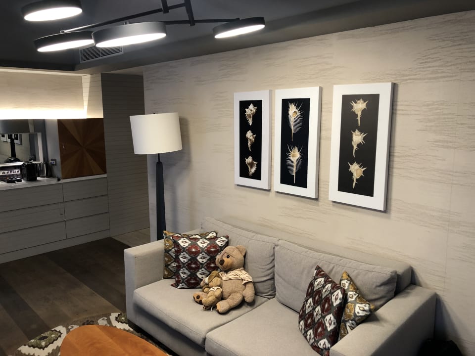 Zimmer Acanthus Cennet Barut Collection