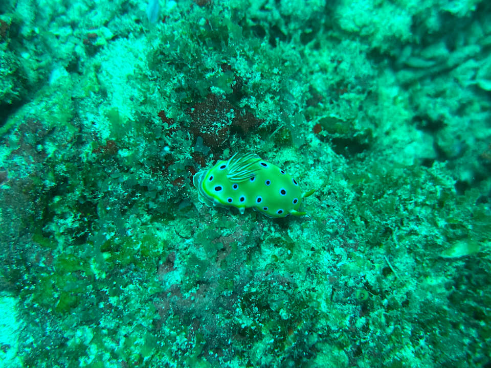 Sport & Freizeit Ocean Paradise Resort & Spa