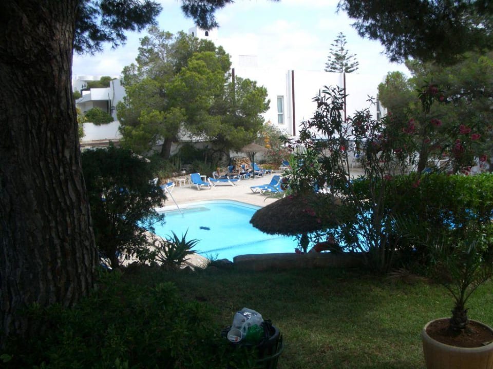 Pool vom Rocador  Grupotel Rocador