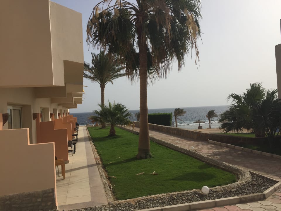 Zimmer Three Corners Sea Beach Resort