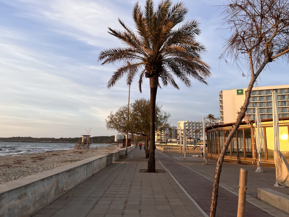 Strand CM Playa del Moro