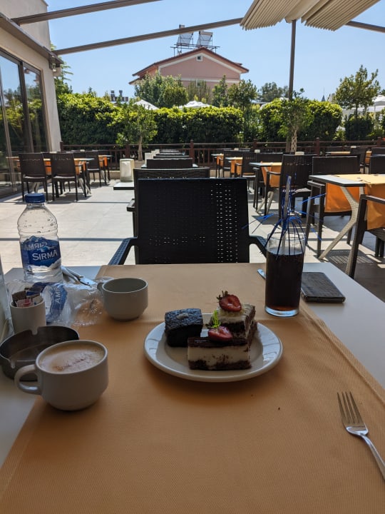 Gastro Seashell Vega