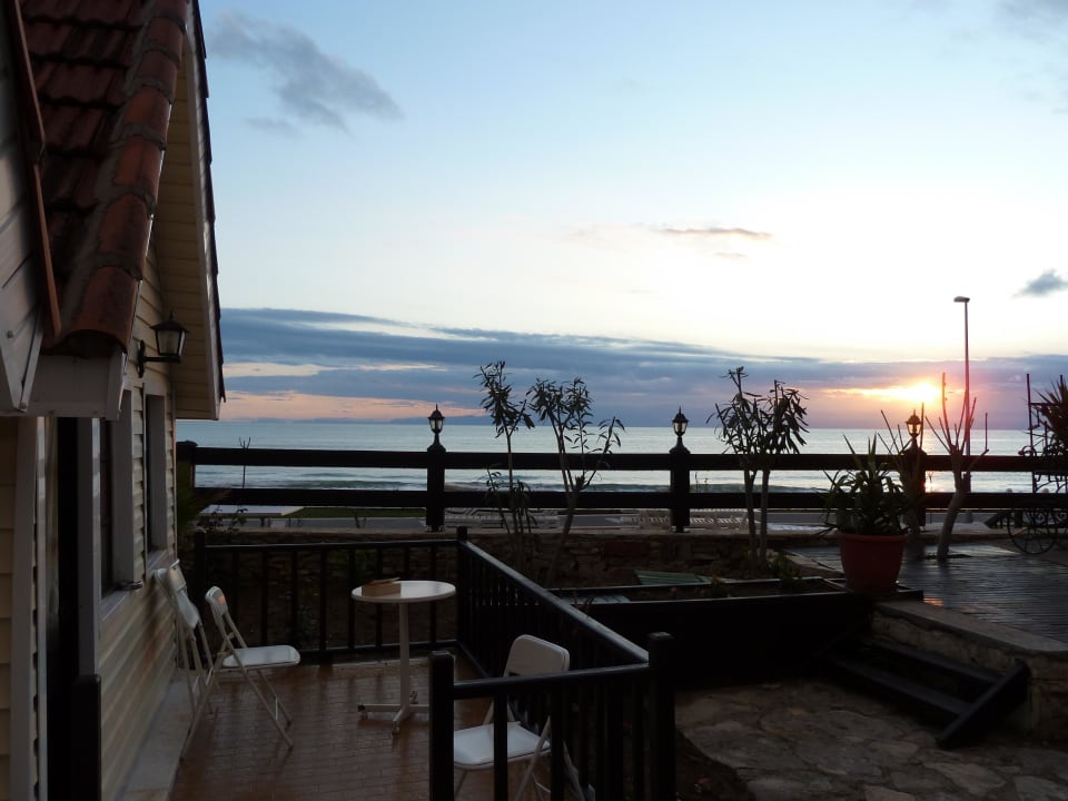 Bung Nr. 101 Clover Magic Nova Beach