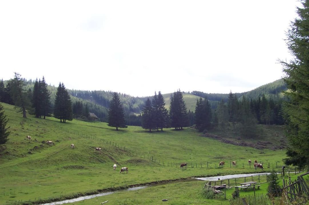 Tolle Aussicht Almwellness Hotel Pierer