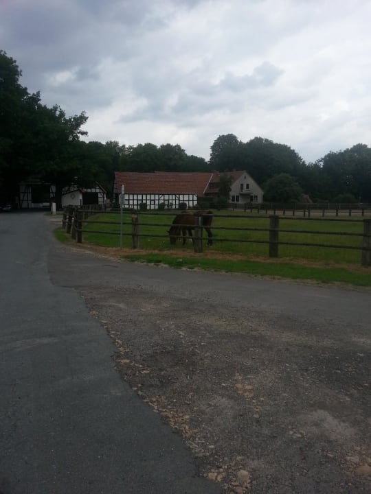 Hinter dem Hotel Parkhotel Osnabrück