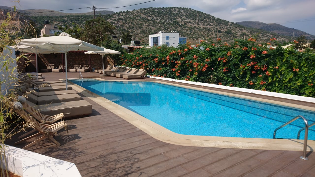 Pool Kalypso Hotel