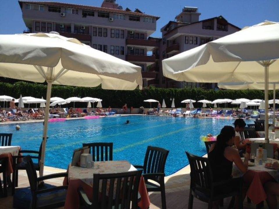 Der große Pool Hotel Panorama