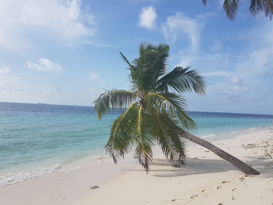 Strand Filitheyo Island Resort