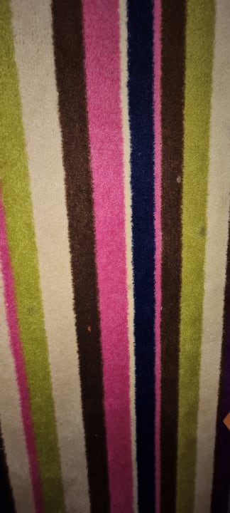 Zimmer H+ Hotel Köln Hürth