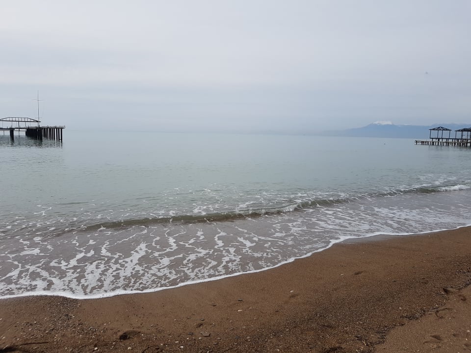 Hotelstrand mit Wifi Royal Seginus