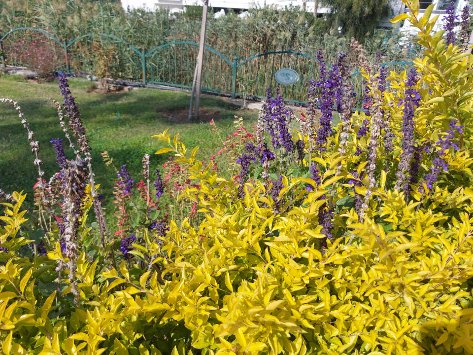 Außenansicht Diamond De Luxe Hotel & Spa