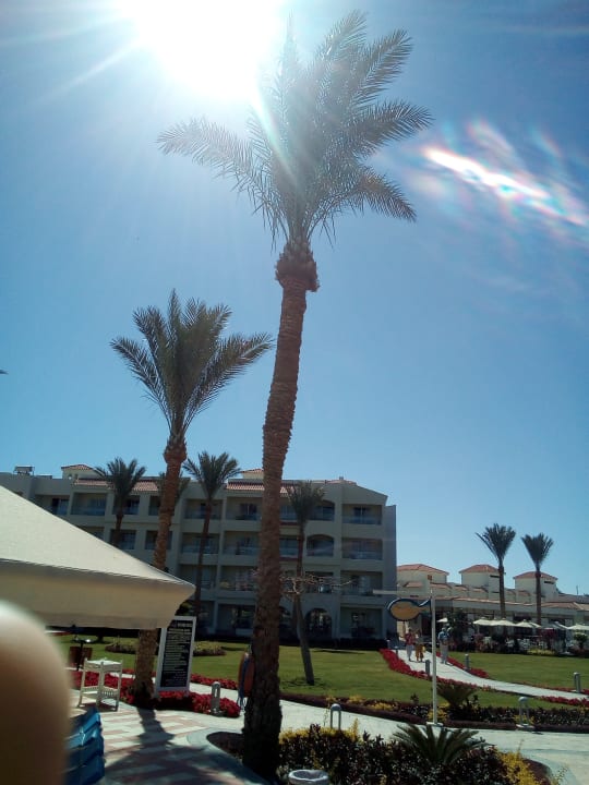 Gartenanlage Pickalbatros Dana Beach Resort - Hurghada