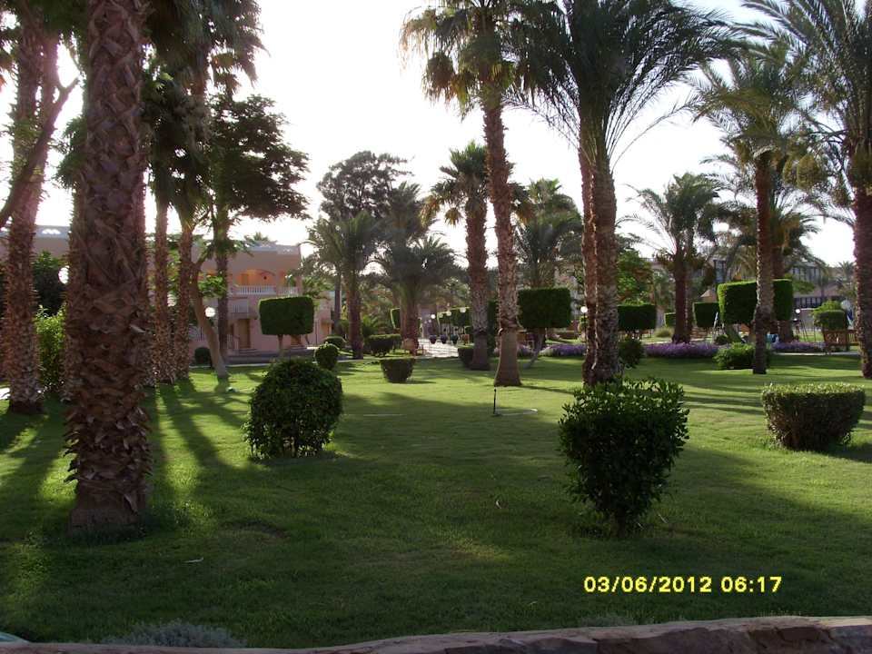 Schön gepflegte Anlage Beach Albatros Resort