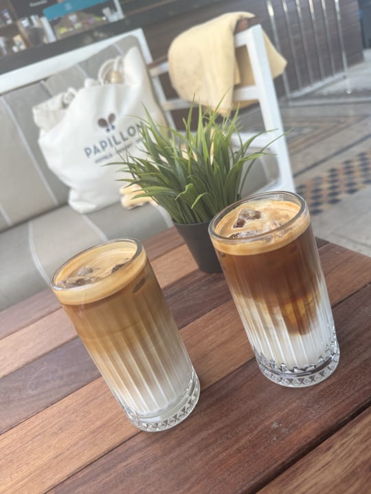 Gastro Papillon Ayscha