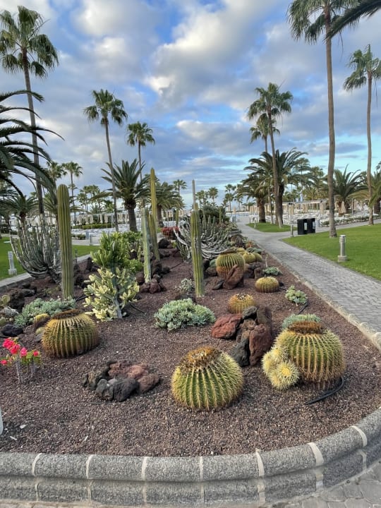 Gartenanlage Hotel Riu Gran Canaria