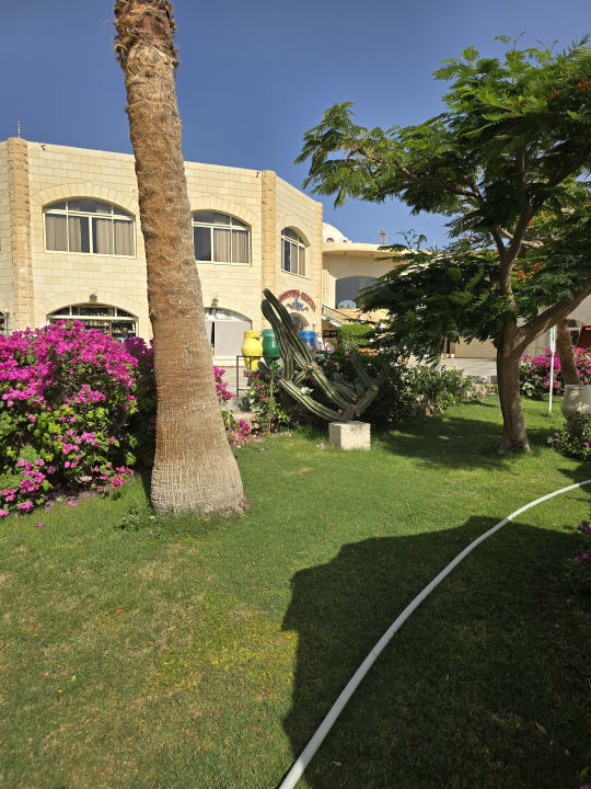 Gartenanlage Brayka Bay Resort