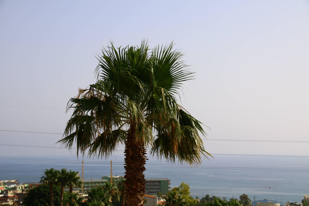 Aussicht von der Hotelanlage Royal & Imperial Belvedere Resort