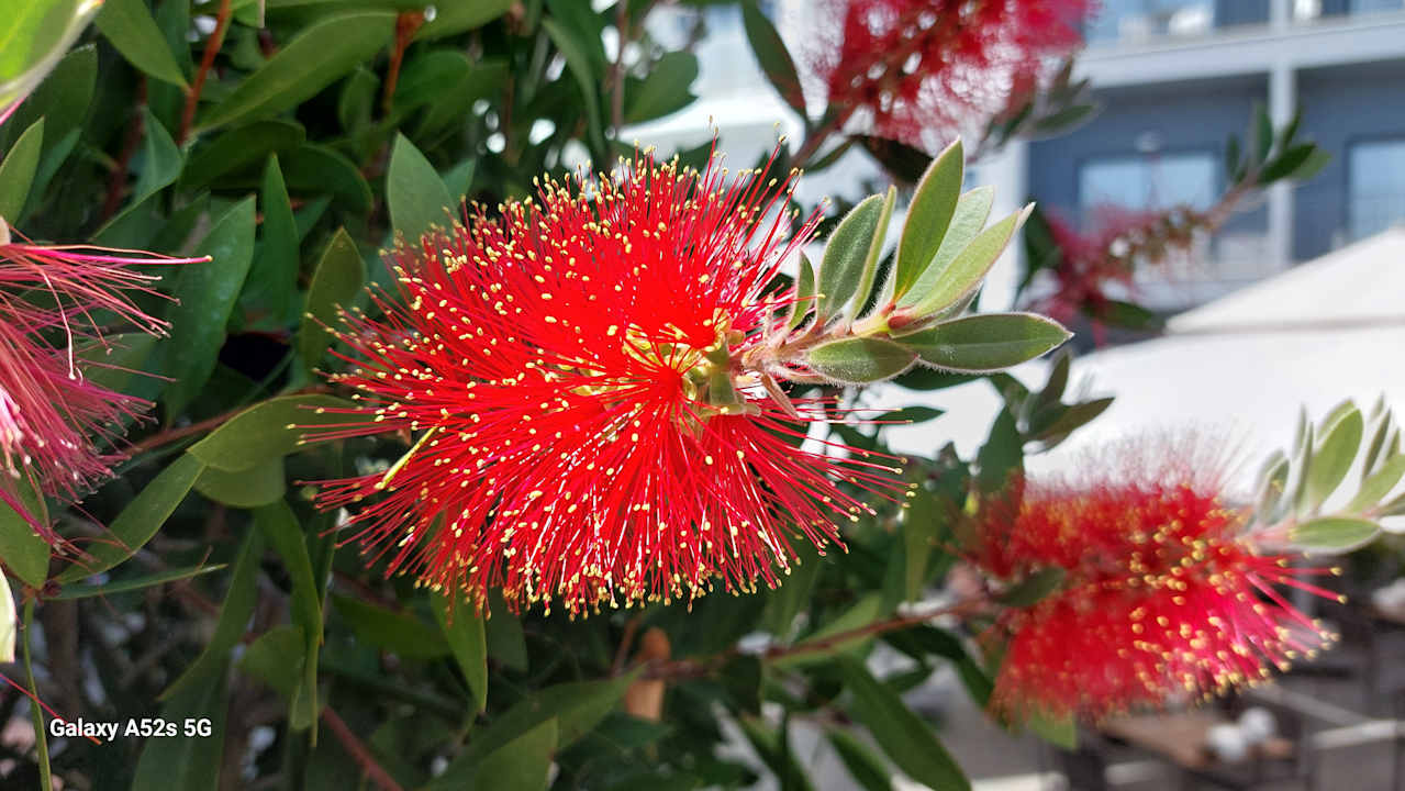 Gartenanlage VOX MARIS RESORT