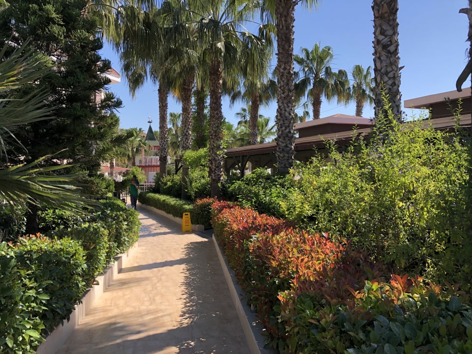 Gartenanlage Hane Family Resort