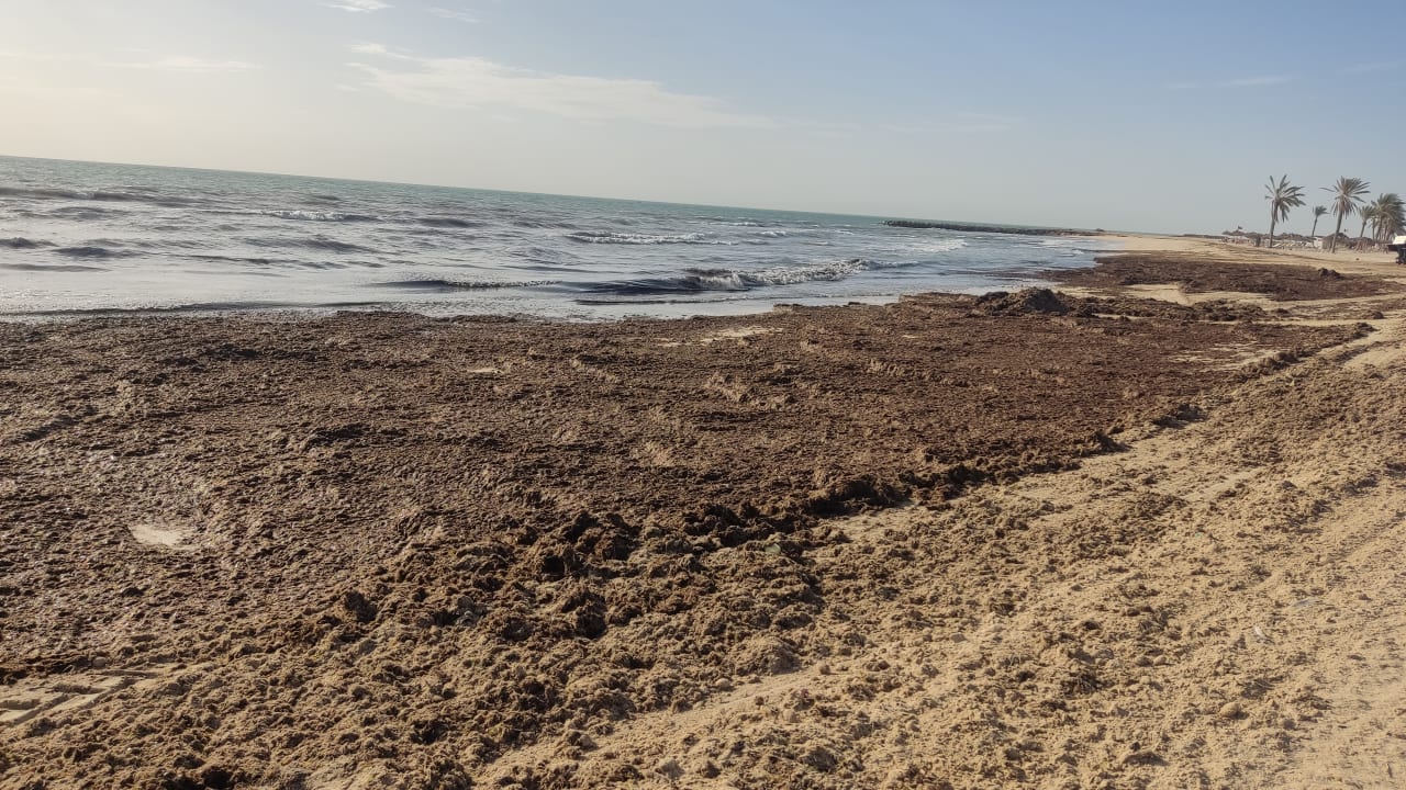 Strand Djerba Castille
