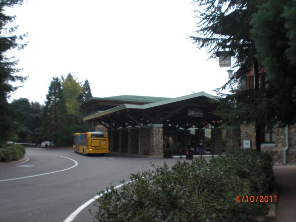 Eingangsbereich Disney's Sequoia Lodge