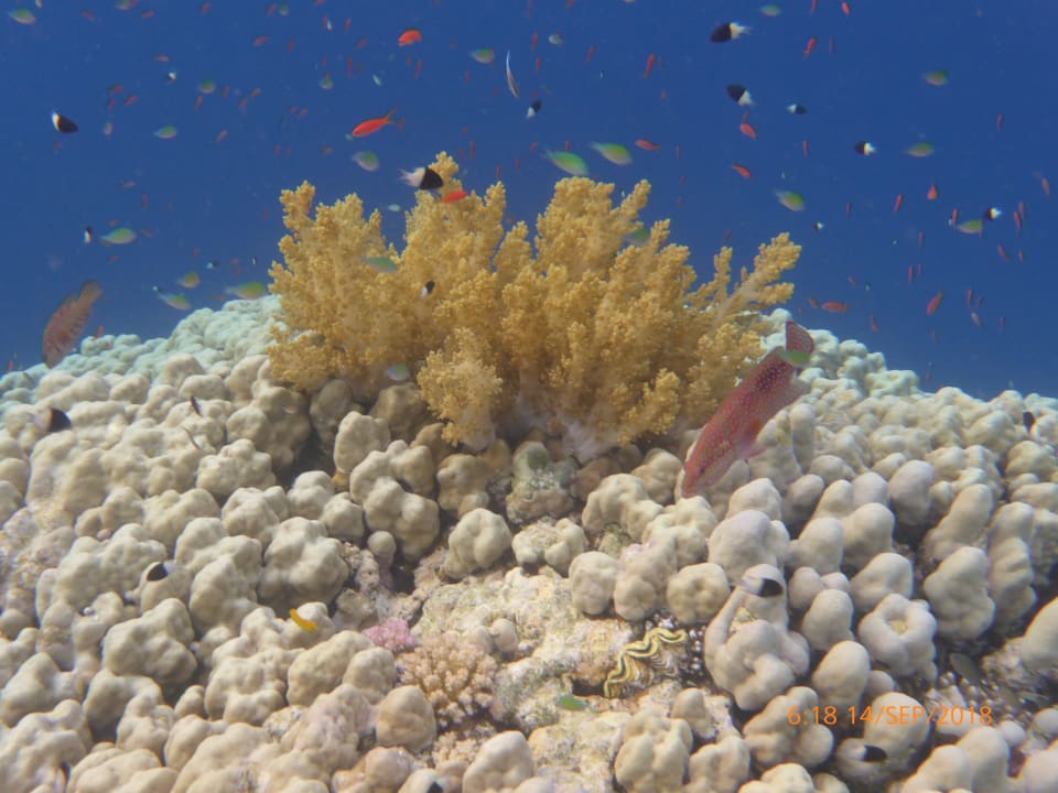 Sport & Freizeit Malikia Resort Abu Dabbab