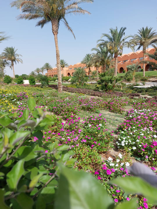 Gartenanlage Novotel Marsa Alam Beach Resort