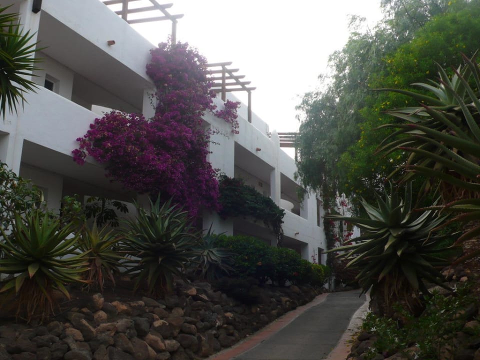 Garten ROBINSON ESQUINZO PLAYA