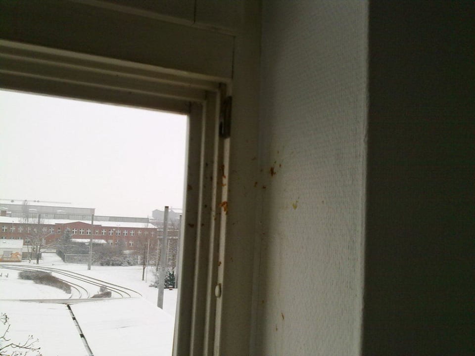 Alternative Wandgestaltung Pension Zum Feldschlösschen