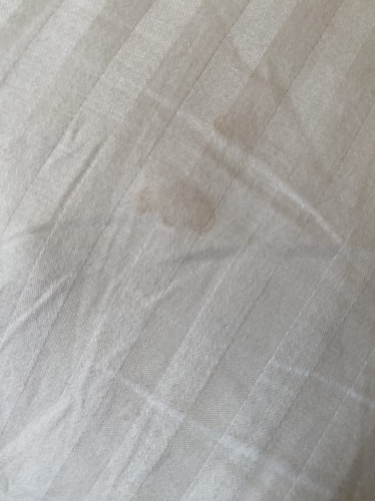 Zimmer Tusan Beach Resort