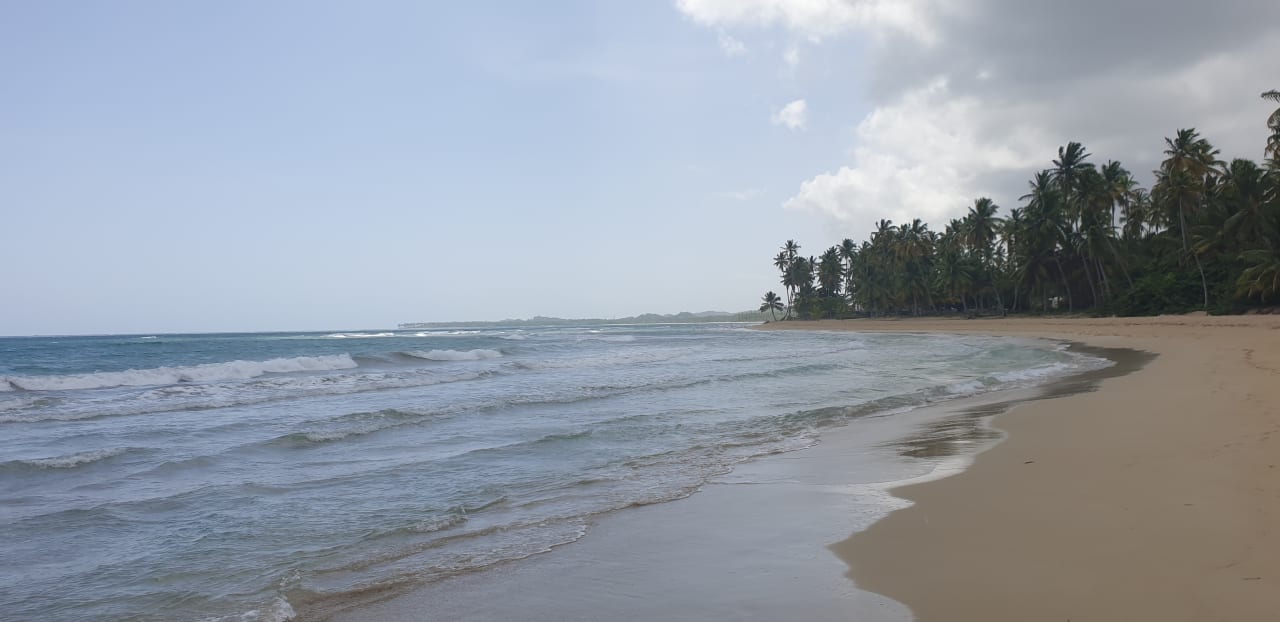 Strand Viva V Samana by Wyndham – Adults Only