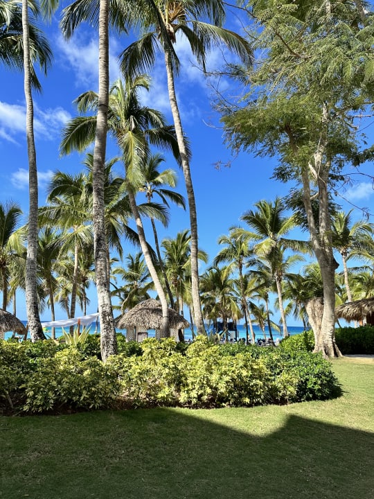 Gartenanlage Hotel Viva Dominicus Beach by Wyndham - All Inclusive Resort