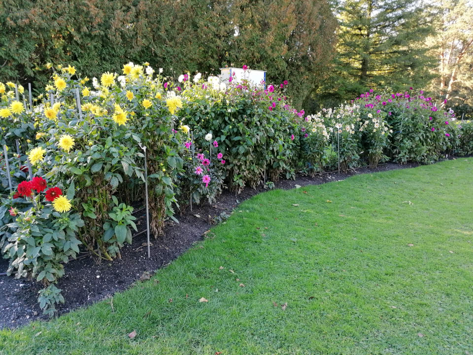 Gartenanlage Vivea Hotel Bad Schönau - Zur Quelle