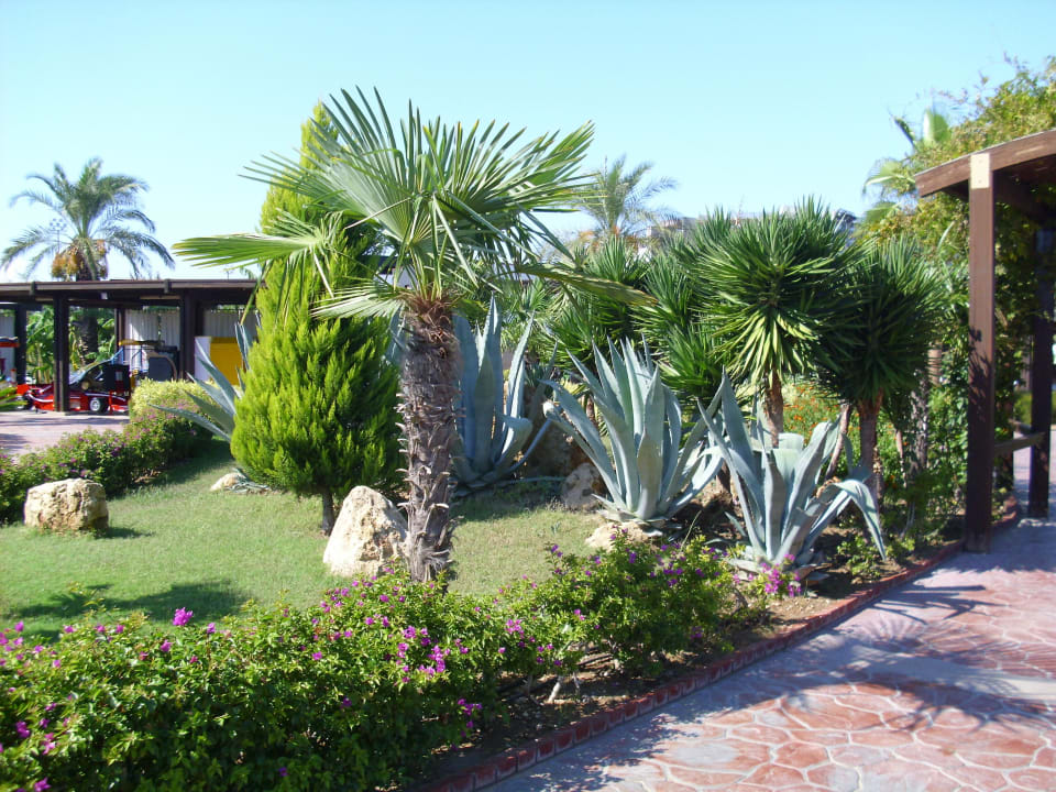 Hotellandschaft Hotel Miracle Resort