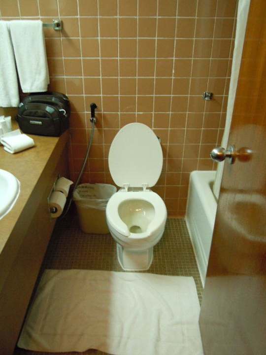 Badezimmer Hilton Garden Inn Ras Al Khaimah