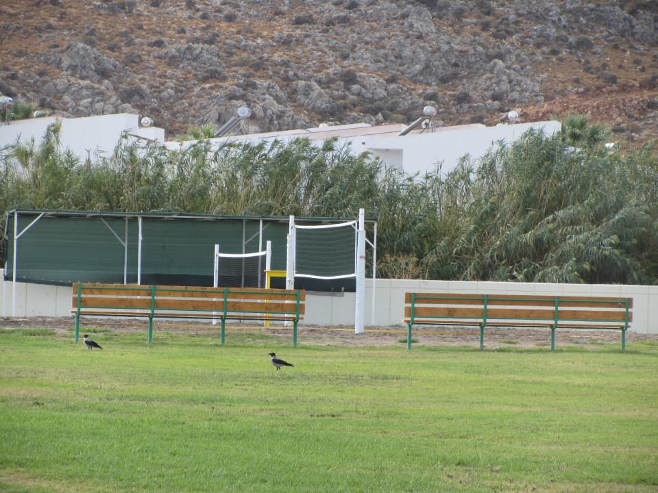 Volleyballfeld Lindos Princess Beach Resort & Spa