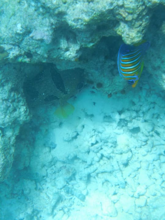 Sport & Freizeit Furaveri Maldives