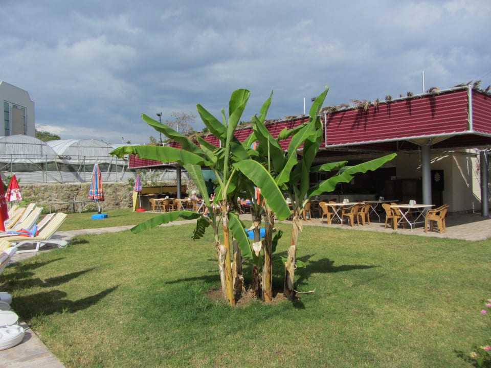 Alaiyepark Alaiye Resort & Spa